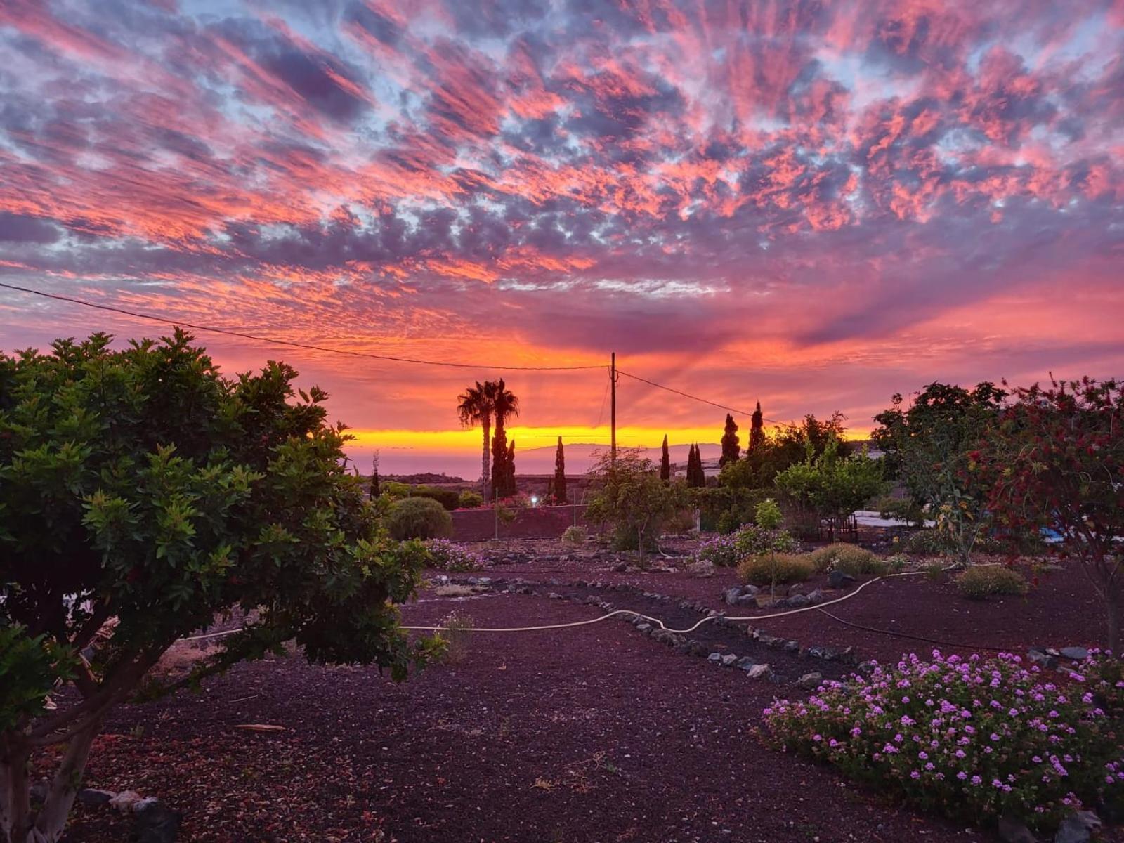 Finca Arcoiris Tenerife Vv غيا ذي إسورا المظهر الخارجي الصورة